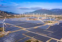 Điện mặt trời Trung Nam báo lãi tăng tích cực, cổ đông nào sẽ được hưởng lợi?