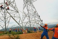 Nửa đầu năm 2024, Sông Đà 11 (SJE) báo lãi gấp 4 lần nhờ dự án đường dây 500kV Quảng Trạch - Phố Nối