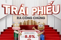 Chứng khoán Vina chào bán thành công lô trái phiếu DNSE