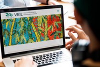 Quỹ lâu đời nhất Việt Nam liên tục bị rút vốn