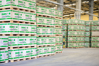 Saint-Gobain tiên phong sử dụng nhiên liệu sinh khối vào sản xuất tấm xi măng xanh