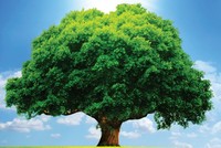 Đón đọc Đặc san Toàn cảnh Bảo hiểm Việt Nam 2017