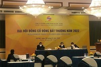 ĐHĐCĐ bất thường SHS: Phát hành thêm cổ phiếu theo tỷ lệ 1:1, giá 12.000 đồng/CP