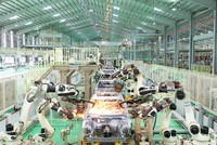 Thaco nói gì về việc phát hành cổ phiếu mới cho nhà đầu tư tại Thaco Auto