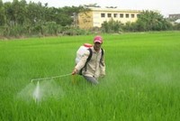 Bảo vệ Thực vật Sài Gòn bị phạt 50 triệu