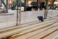 Năm 2013, Cao su Miền Nam (CSM) lãi ròng hơn 360 tỷ đồng