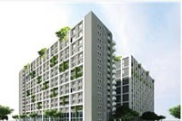 SCR có lãnh đạo mới