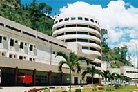 CTC trả cổ tức bằng tiền mặt, tỷ lệ 7%