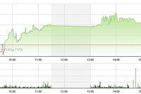 Phiên giao dịch chiều 26/6: "Cuồng phong" FLC
