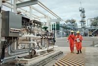 Cổ phiếu cần quan tâm ngày 21/8