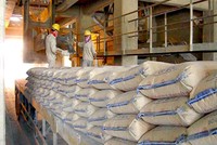 Cổ phiếu cần quan tâm ngày 27/8