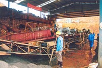 HNX: Cổ đông ALV đăng ký mua 453.453 cổ phiếu là do lỗi của nhân viên phần mềm