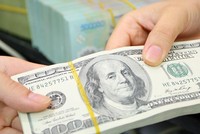 Đầu cơ tỷ giá thua đau