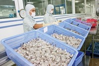 SJ1: Ngày GDKHQ thực hiện quyền mua cổ phiếu (1:1)