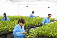 Năm 2016, NAF sẽ triển khai nhiều dự án lớn