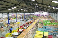  Alibaba đang vung tiền tỷ đầu tư khắp thế giới như thế nào?