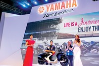 “Canh bạc” đại sứ thương hiệu 