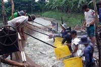 Huy động 180.000 điều tra viên để tổng điều tra về nông thôn năm 2016