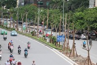 Chủ trương trồng 1 triệu cây xanh của thành phố trong thời gian tới đây là mục tiêu chiến lược