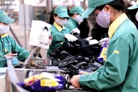 Cổ phiếu cần quan tâm ngày 1/8