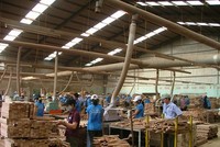 Loại bỏ TTF, thay thế OGC vào các rổ chỉ số của HOSE