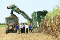 SBT chốt danh sách cổ đông phát hành thêm hơn 58 triệu cổ phiếu