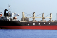 OGC và PTL tiếp tục vào diện cảnh báo, VOS vào diện kiểm soát