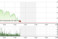 Phiên giao dịch sáng 8/11: Ngoạn mục TCH
