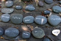 “Toa thuốc” thành công: Thích làm gì, cứ làm!