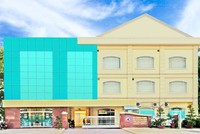 Domesco (DMC) giải thể công ty con