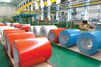 Việt Nam tham vấn công khai vụ điều tra áp dụng biện pháp tự vệ đối với tôn màu nhập khẩu