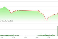 Phiên chiều 1/3: VN-Index chia tay mốc 710 điểm, HBC tỏa sáng