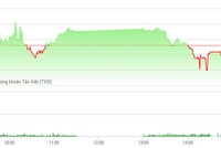 Phiên chiều 9/3: VN-Index đứt mạch tăng, tiền vẫn chảy mạnh vào cổ phiếu thị giá nhỏ