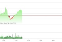 Phiên sáng 9/3: OGC nổi sóng, FLC hạ nhiệt