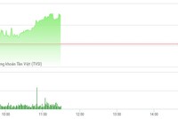 Phiên sáng 14/3: Tiết cung giá thấp, thị trường phục hồi trở lại
