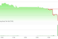 Phiên chiều 17/3: ROS và NVL bị ép trong phiên gom hàng của ETFs