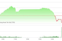 Phiên chiều 22/3: Lực bán tăng mạnh, thị trường đồng loạt quay đầu giảm điểm