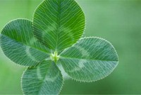 10 sự thật có thể thay đổi cuộc đời bạn