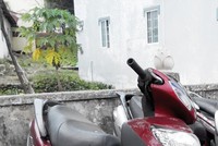 Một giám đốc có nguy cơ bị kỷ luật vì bị cướp mà không trình báo