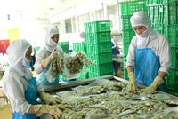 Tháng 7, ABT tạm tạm ứng cổ tức 10% bằng tiền mặt