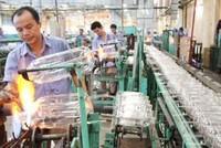 Rạng Đông (RAL) trả cổ tức 25% bằng tiền mặt