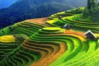 Những cung đường săn “mùa vàng” Tây Bắc đẹp nhất tháng 9