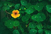 6 dấu hiệu để biết bạn là người hướng nội hay đang lo âu?