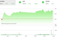 Phiên chiều 10/11: VNM bùng nổ, VN-Index tiếp tục phá đỉnh