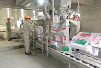 Hóa chất Đức Giang - Lào Cai (DGL) lấy ý kiến thay đổi phương án trả cổ tức năm 2016 từ cổ phiếu sang tiền mặt