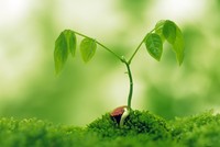 Top 10 cổ phiếu tăng/ giảm mạnh nhất tuần: Cổ phiếu lớn bị “ép”, thị trường vẫn có mã tăng tới 112%