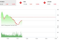 Phiên sáng 19/12: Tỷ phú Thái mất hơn 10.800 tỷ đồng vì Sabeco