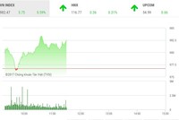 Phiên sáng 29/12: Nhóm chứng khoán nổi sóng, VN-Index vượt ngưỡng 980 điểm