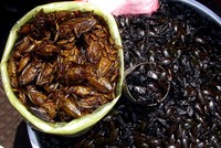 Khó cưỡng với đặc sản “sâu nước” và trứng kiến đất Ninh Bình