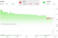 Phiên chiều 24/1: Thận trọng chờ HOSE